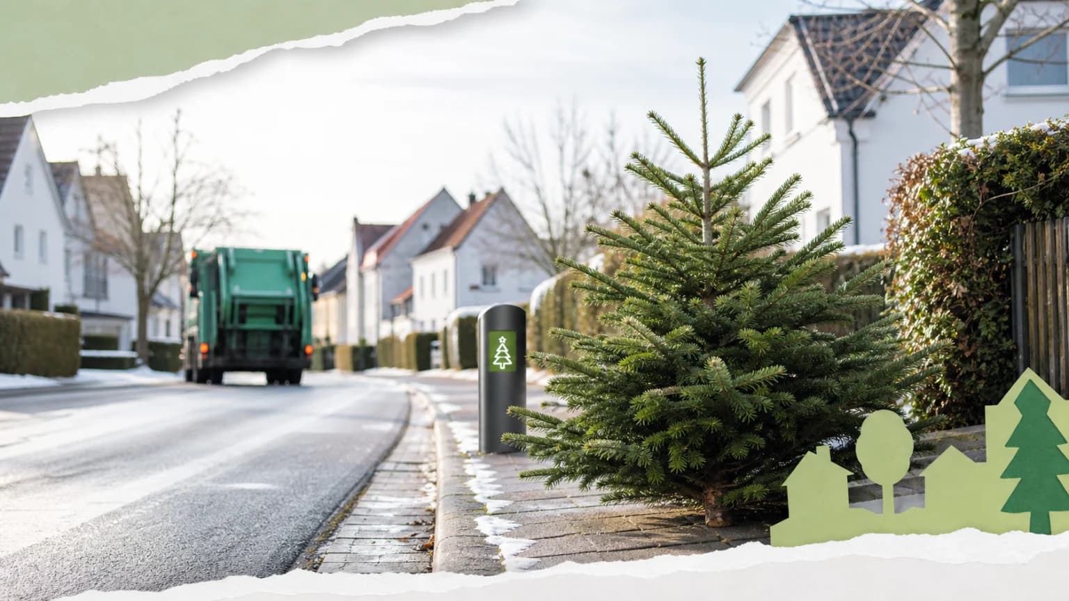 Weihnachtsbäume richtig entsorgen in Regensburg