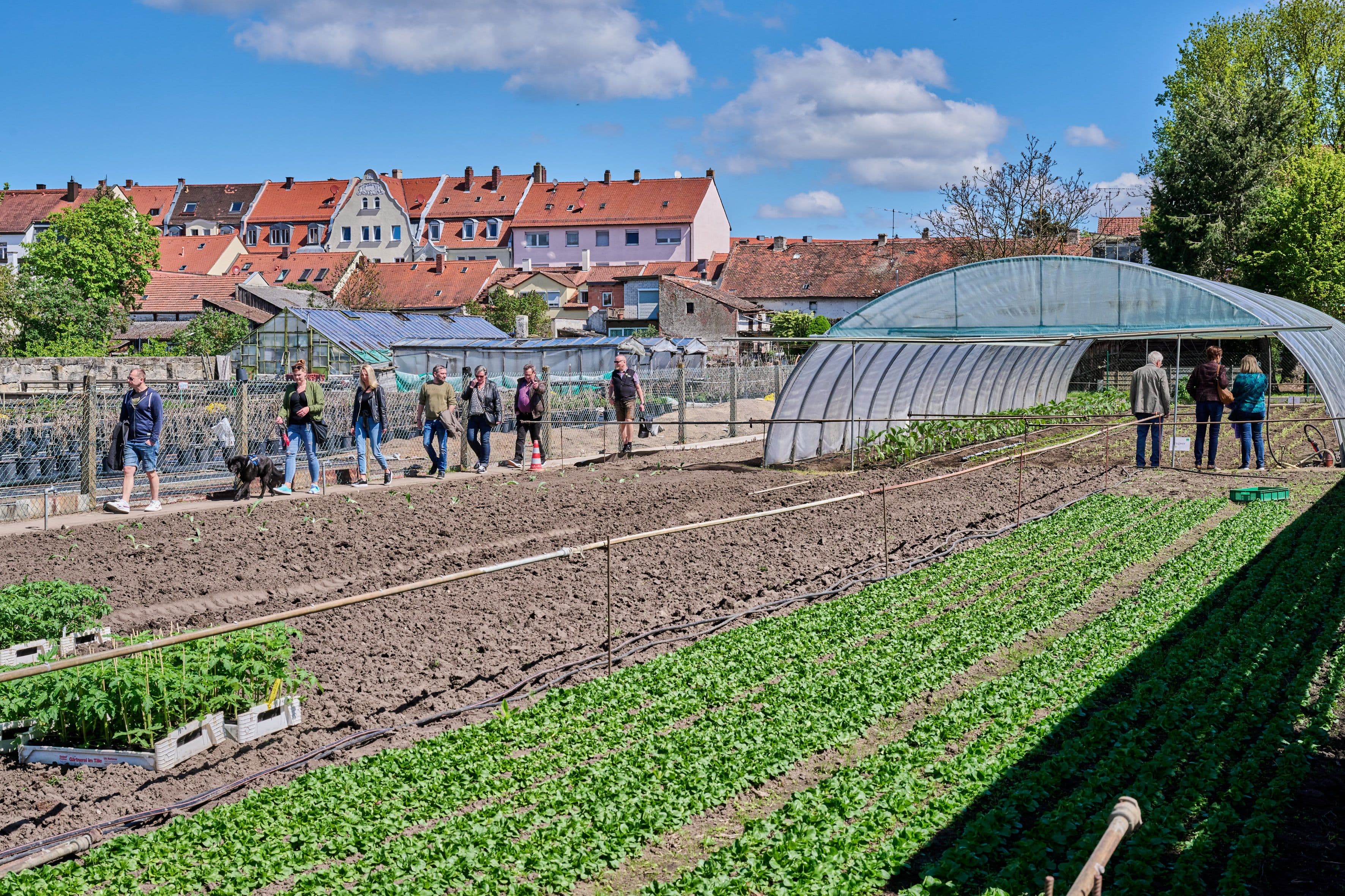 Bürgerwerkstatt in Bamberg: Klimaanpassung öffentlicher Flächen