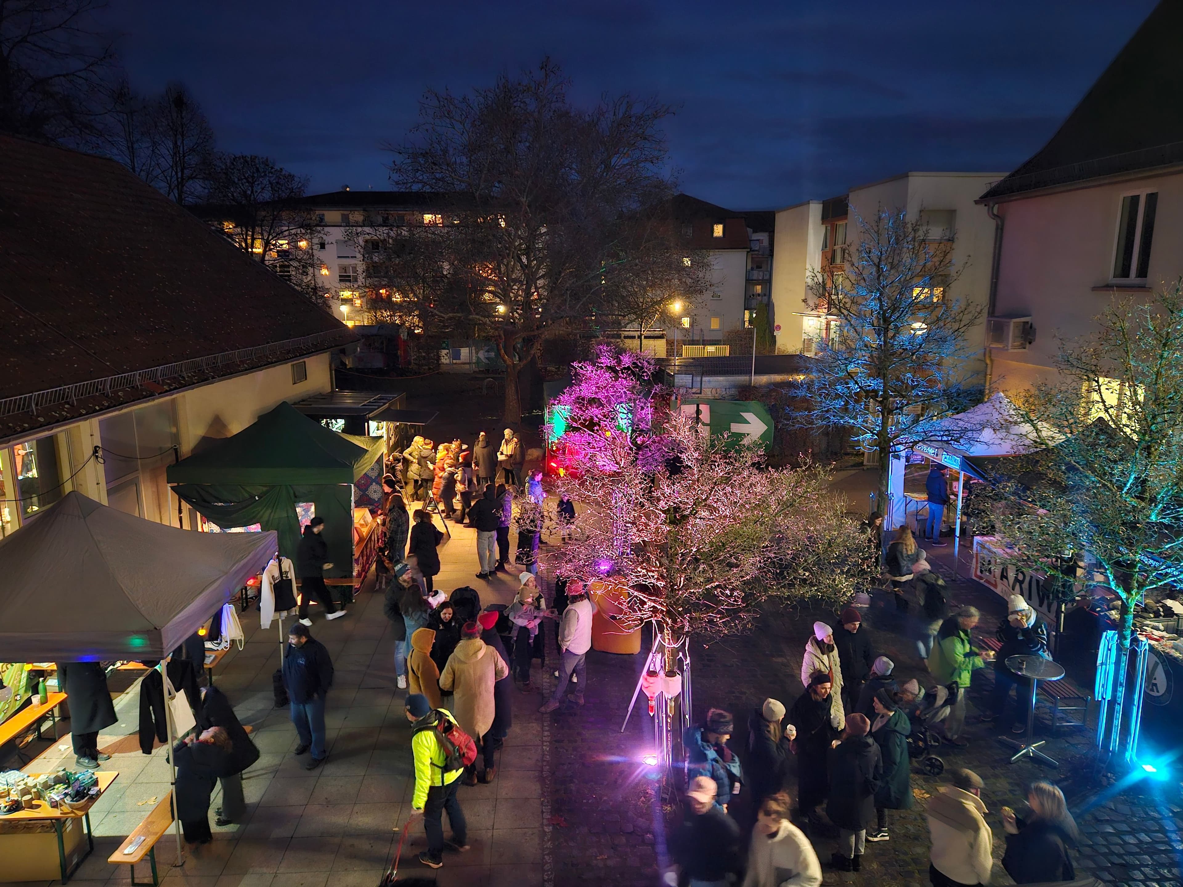 DIY-Tag mit veganem Weihnachtsmarkt in Aschaffenburg