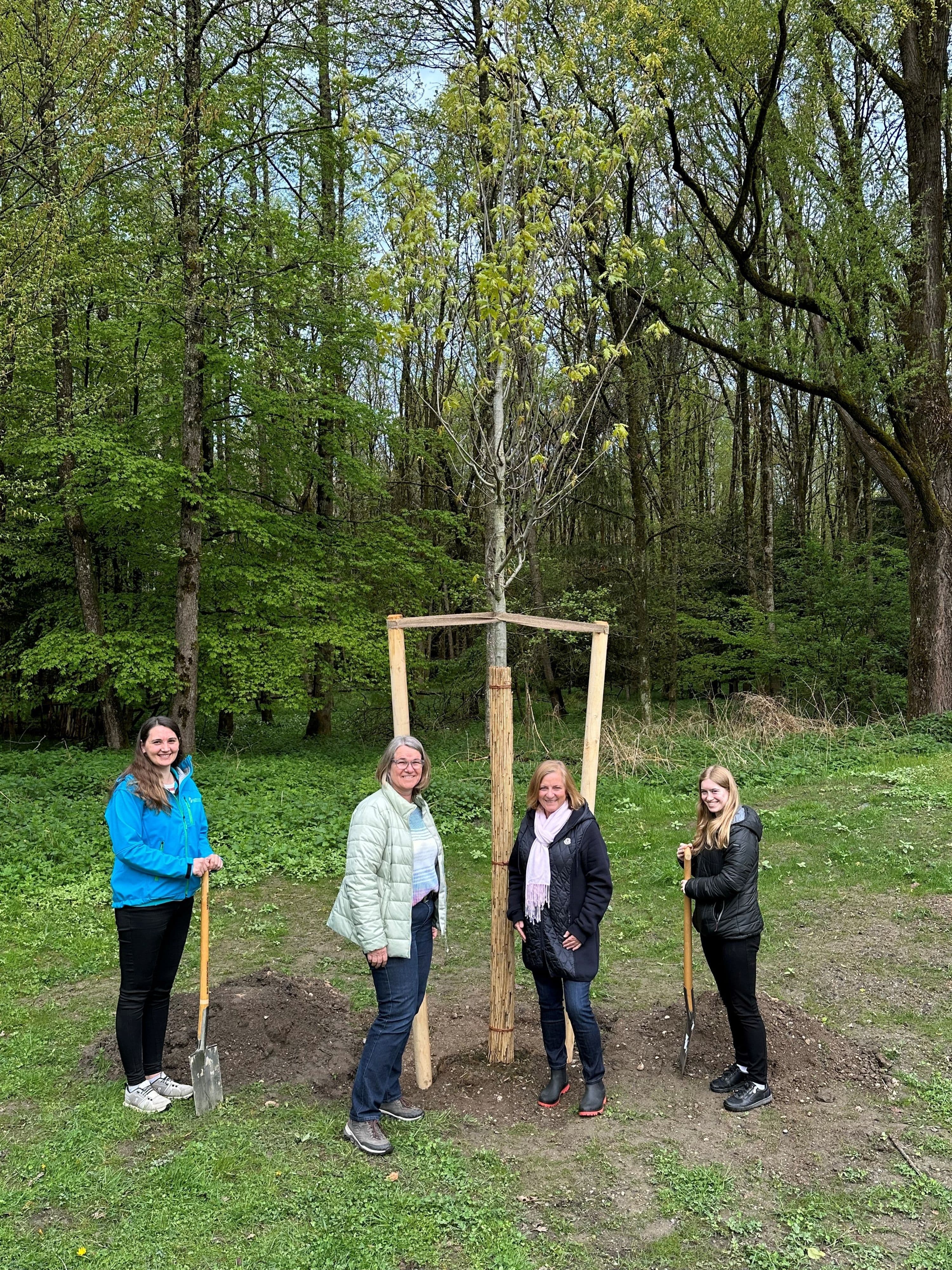 Grüne Zukunft in Rosenheim: Ein Baum für Generationen
