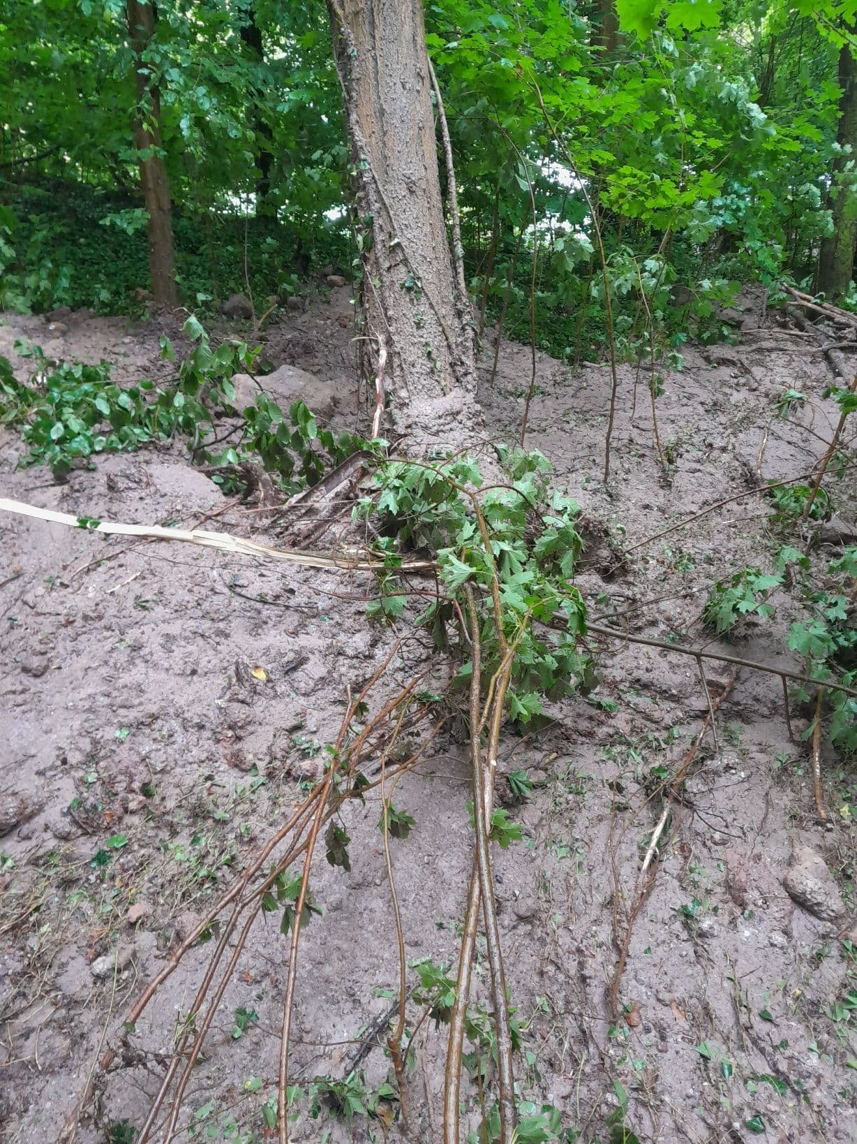 Hangrutsch am Oberen Leinritt nach Unwetter