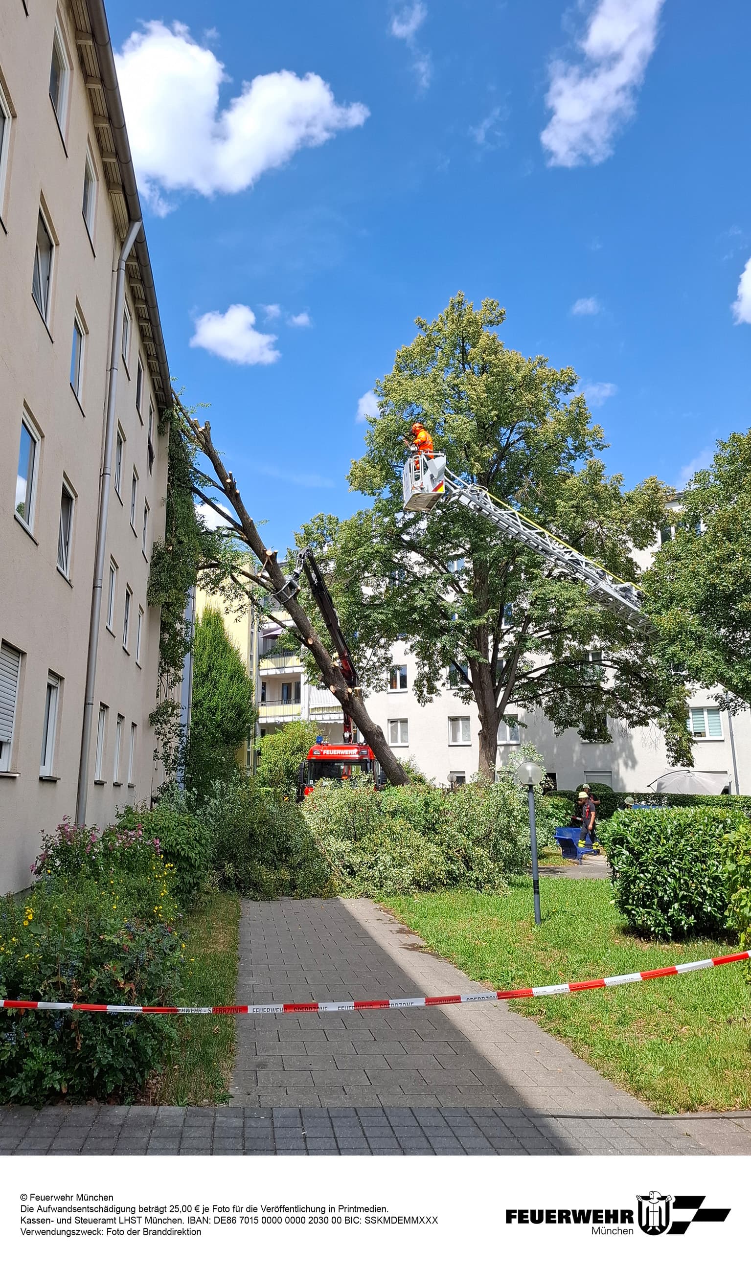 FW-M: Baum stürzt auf Haus (Berg am Laim)