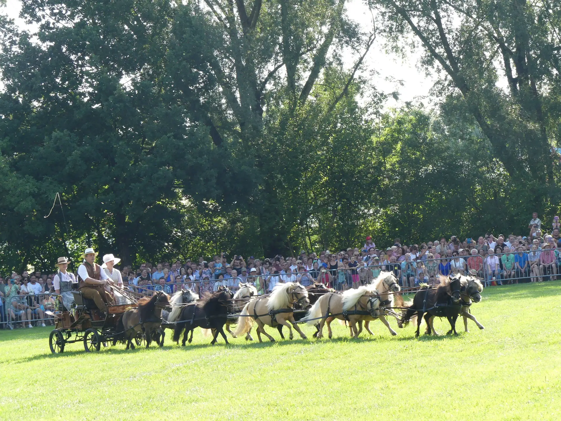 Großes Spektakel beim JURA-Volksfest: Pferde- und Fohlenschau in Neumarkt