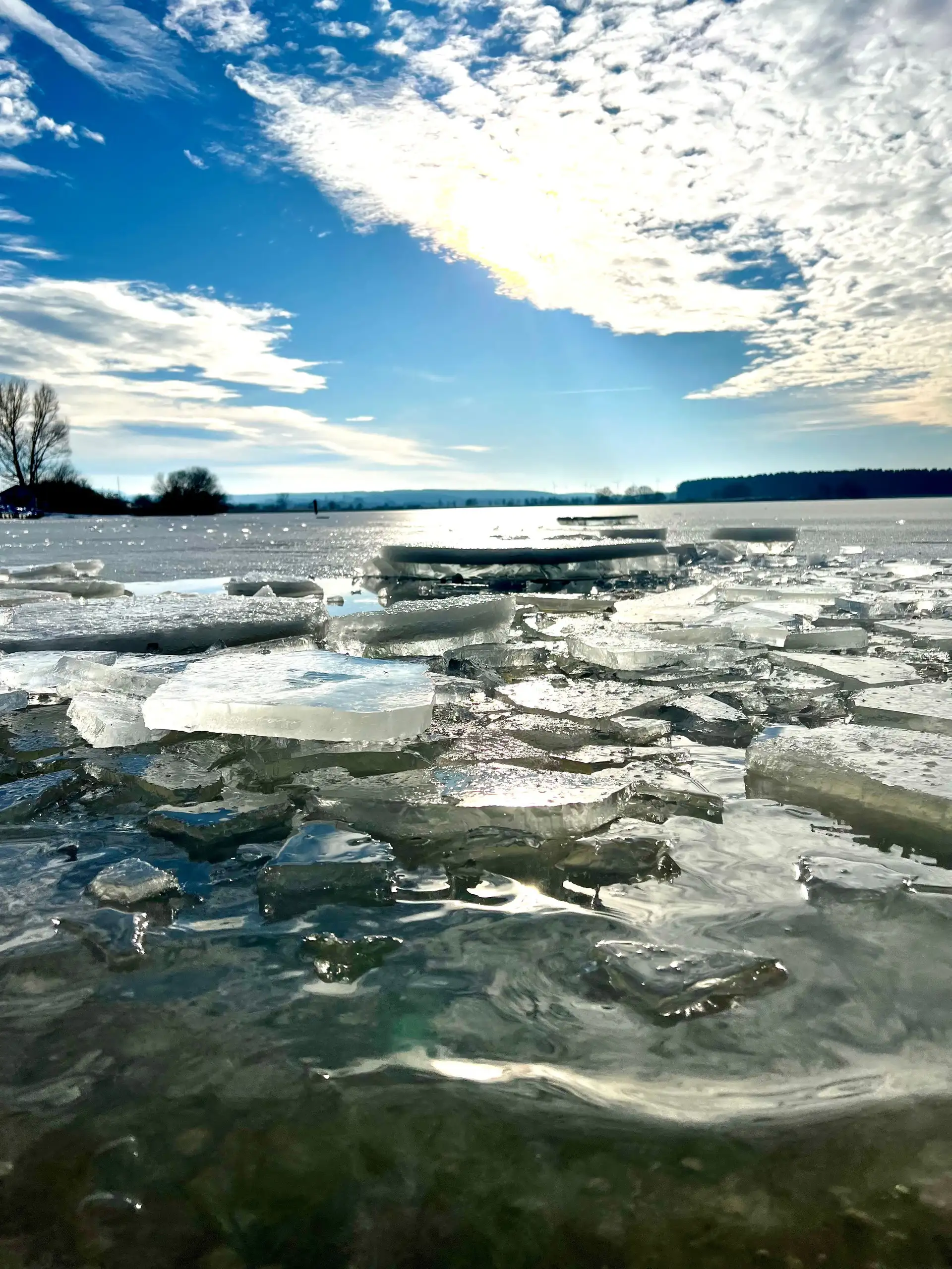 Mutprobe am Altmühlsee: Eisbaden am Drei-Königs-Tag