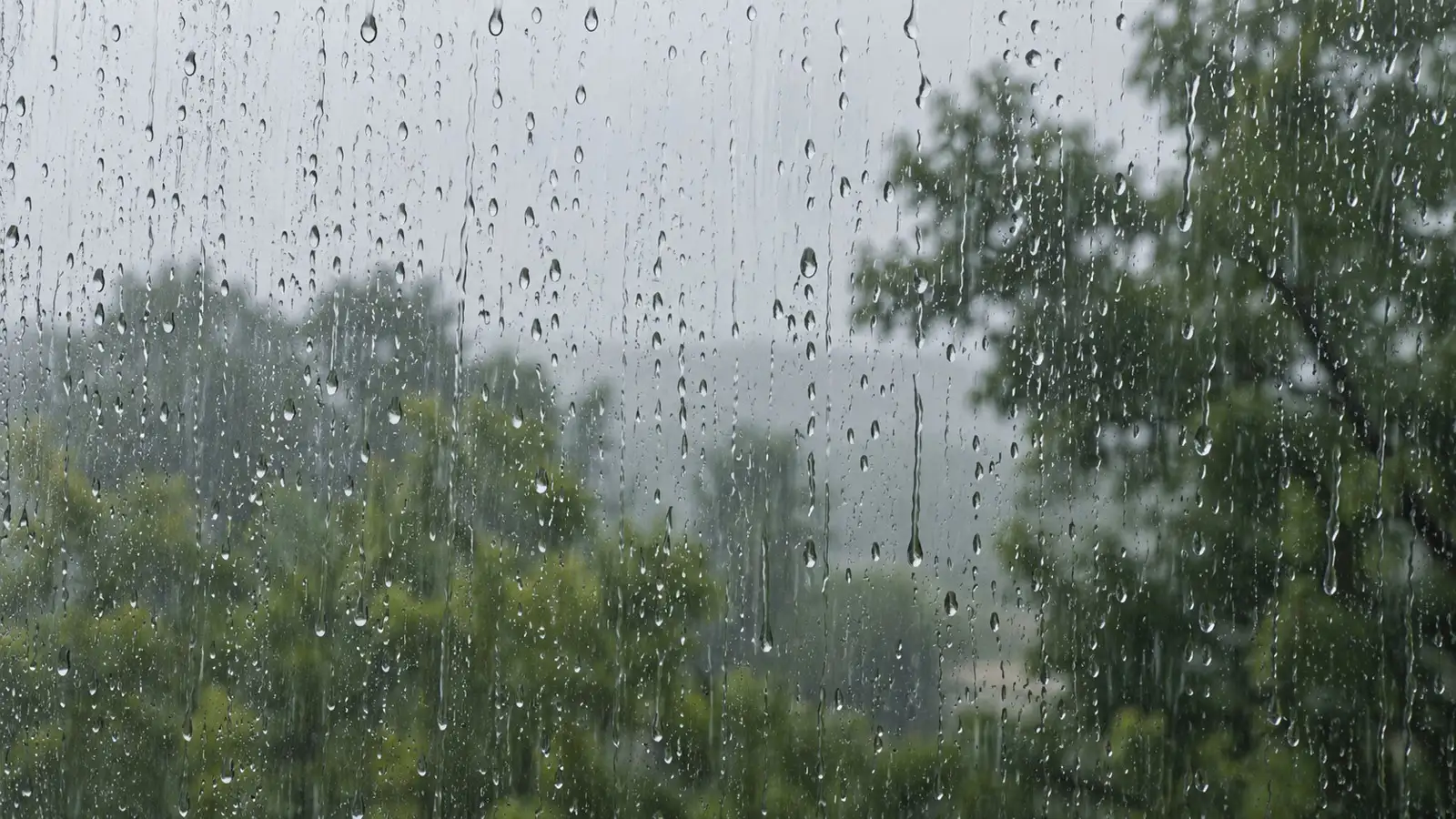 Dauerregen: Regen an einer Fensterscheibe. Generisches Motiv ohne erkennbaren Aufnahmeort.